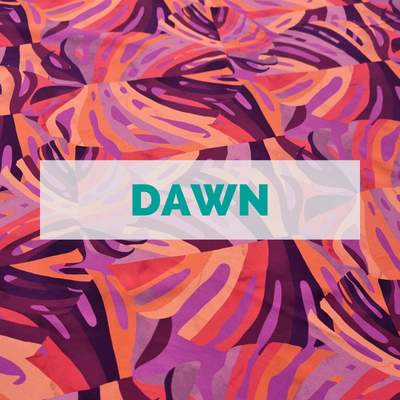 Dawn + Orange - Splashback Singlet